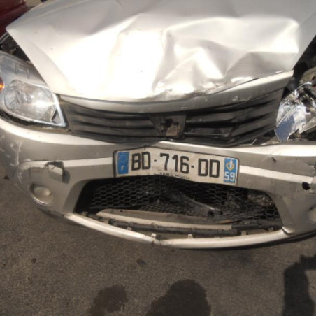 Charniere de porte avant droit DACIA SANDERO 1