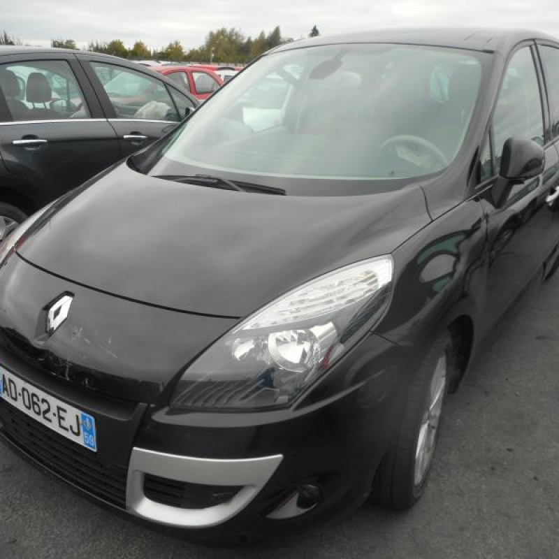 Charniere de porte arriere gauche RENAULT SCENIC 3 Photo n°2