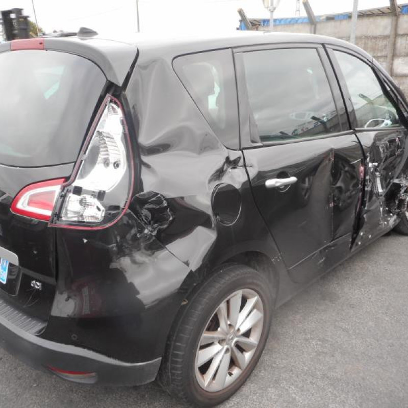 Charniere de porte arriere gauche RENAULT SCENIC 3 Photo n°4