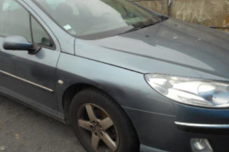 Poignee porte avant gauche PEUGEOT 407