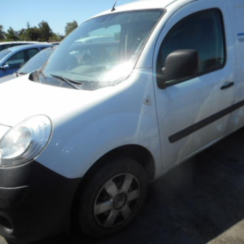 Arret de porte arriere droit RENAULT KANGOO 2 Photo n°4