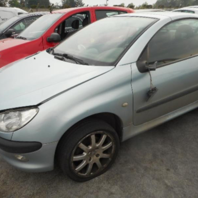 Custode arriere droit PEUGEOT 206 Photo n°1