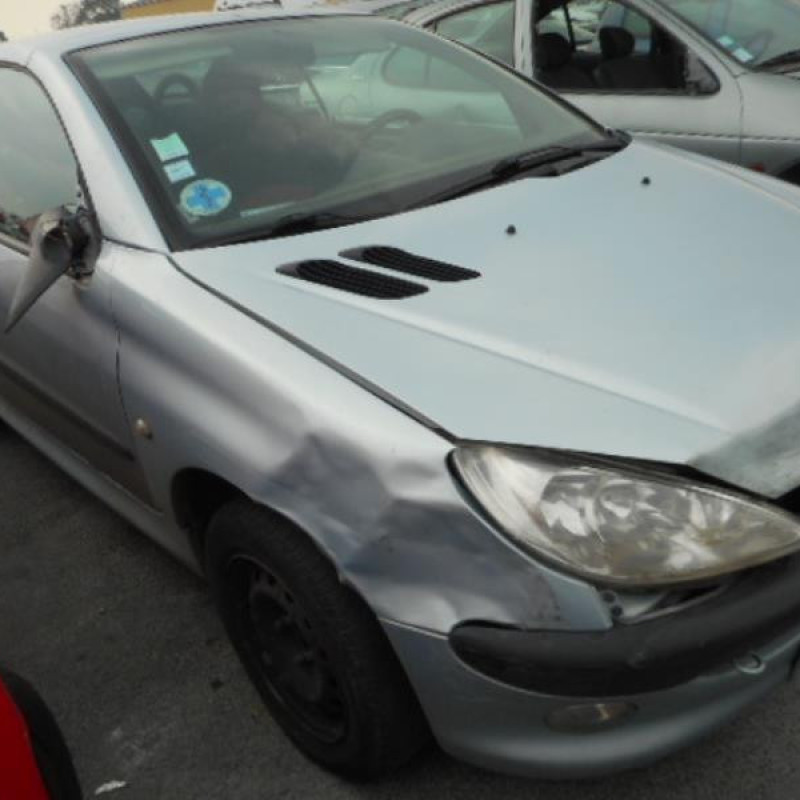 Custode arriere droit PEUGEOT 206 Photo n°2