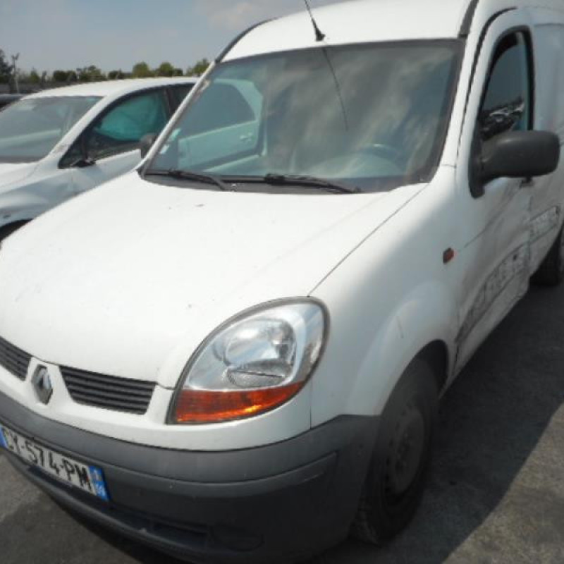 Porte de coffre gauche RENAULT KANGOO 1 Photo n°5