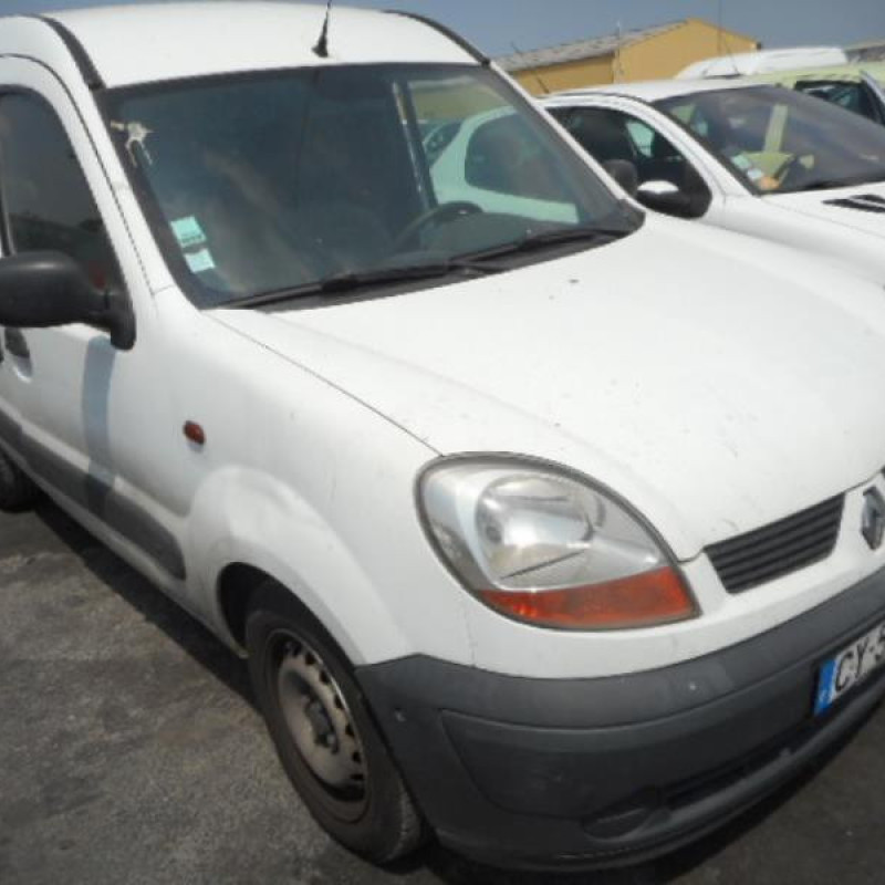 Porte de coffre gauche RENAULT KANGOO 1 Photo n°6