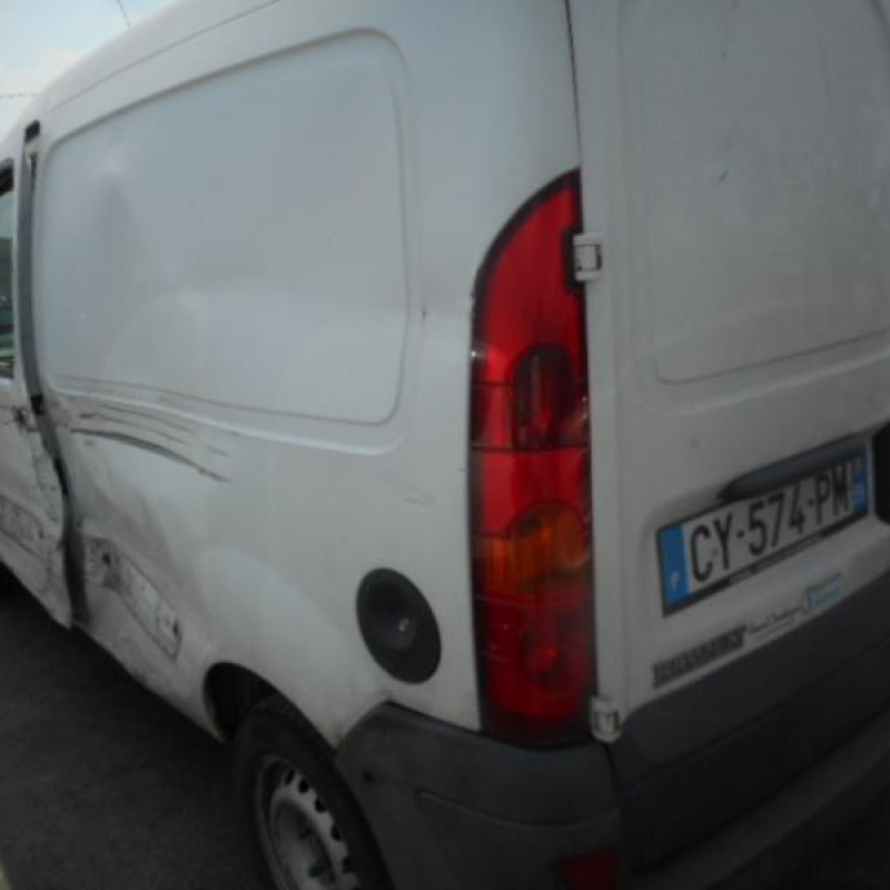 Porte de coffre gauche RENAULT KANGOO 1 Photo n°8