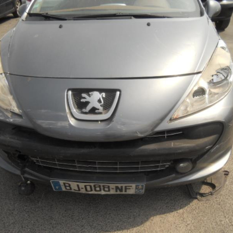 Custode arriere droit PEUGEOT 207 Photo n°2