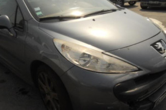 Custode arriere droit PEUGEOT 207