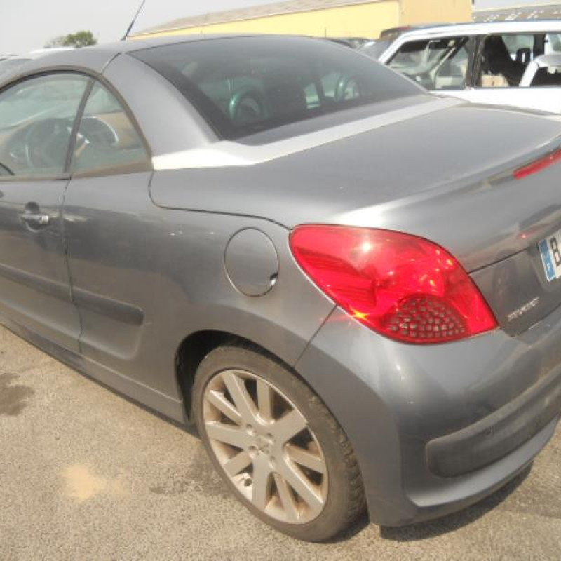 Custode arriere droit PEUGEOT 207 Photo n°5