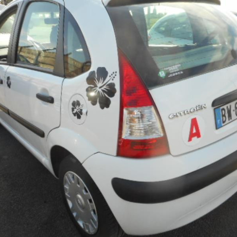 Poignee interieur arriere droit CITROEN C3 1 Photo n°8