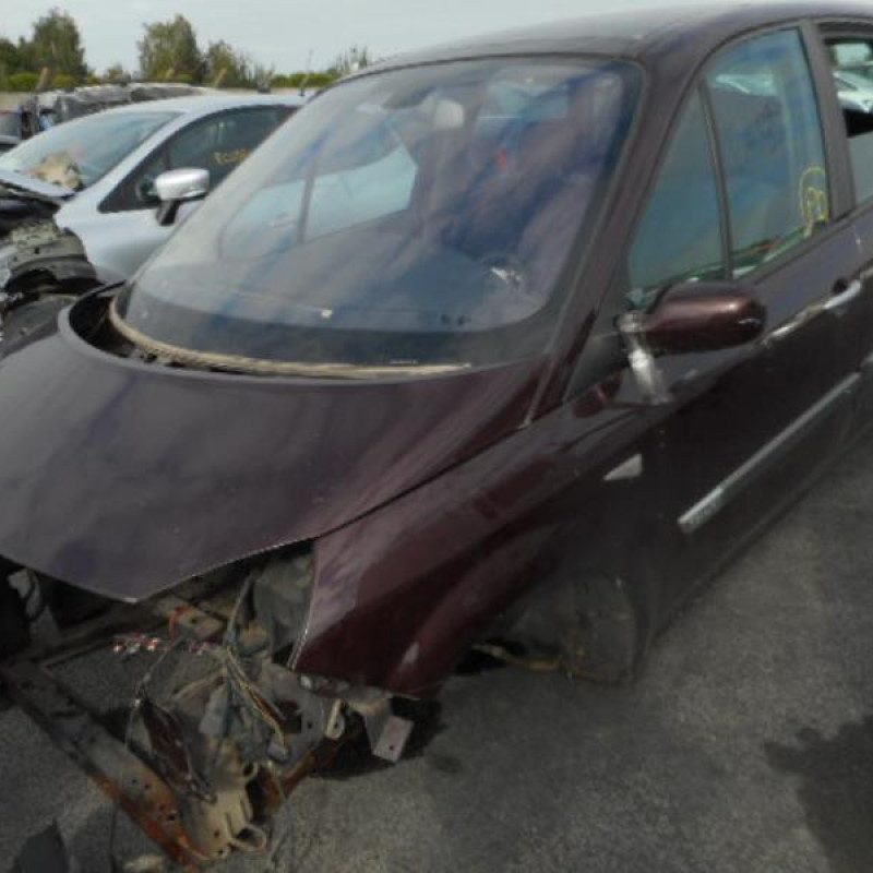 Poignee interieur arriere droit RENAULT SCENIC 2 Photo n°4