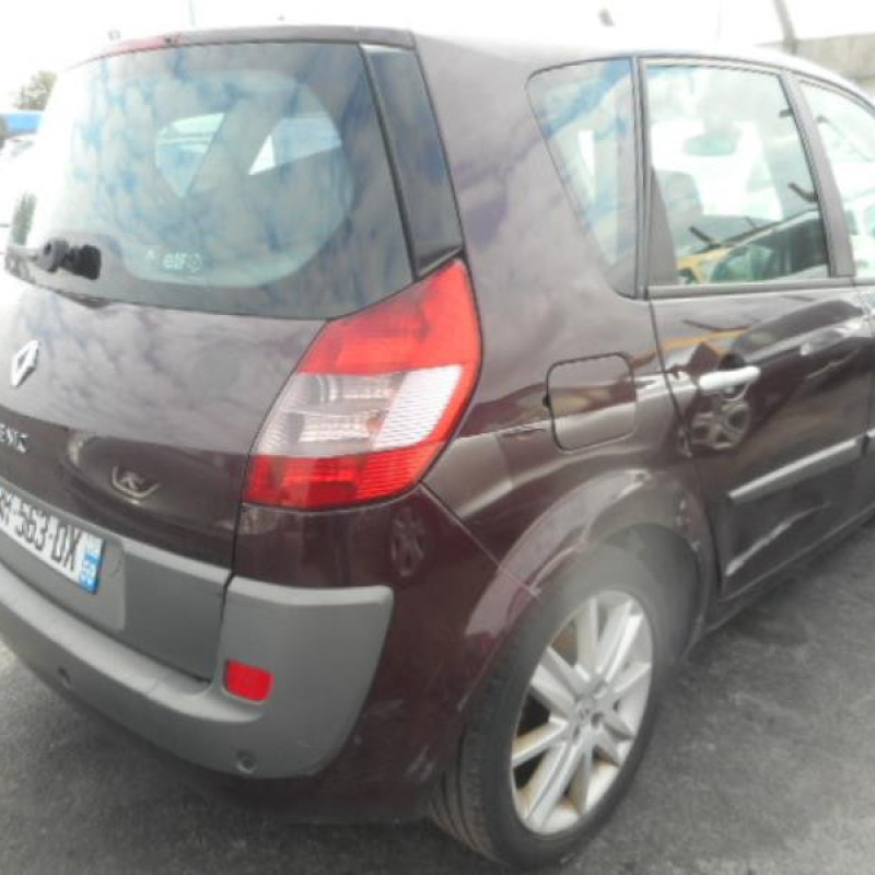 Poignee interieur arriere droit RENAULT SCENIC 2 Photo n°6