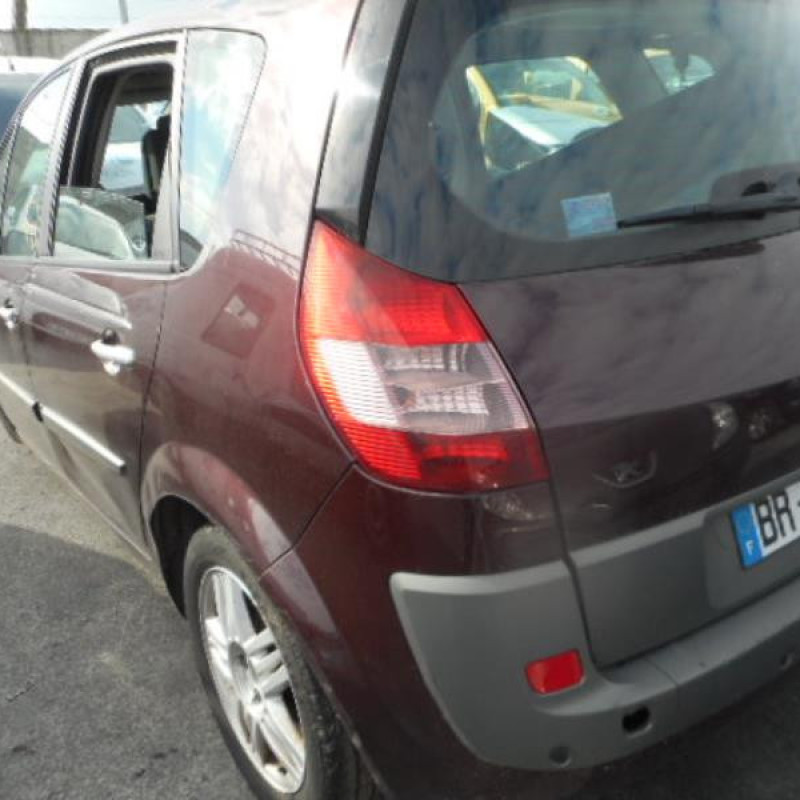 Poignee interieur arriere droit RENAULT SCENIC 2 Photo n°7