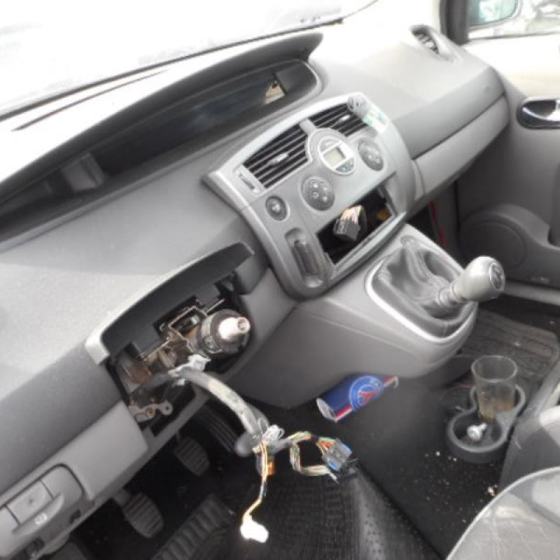 Poignee interieur arriere droit RENAULT SCENIC 2 Photo n°8