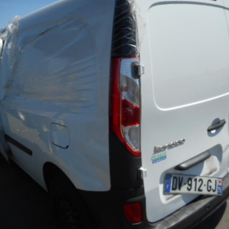 Poignee interieur arriere gauche RENAULT KANGOO 2 Photo n°8