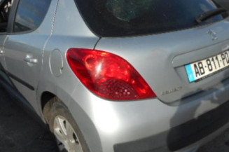 Poignee porte avant gauche PEUGEOT 207