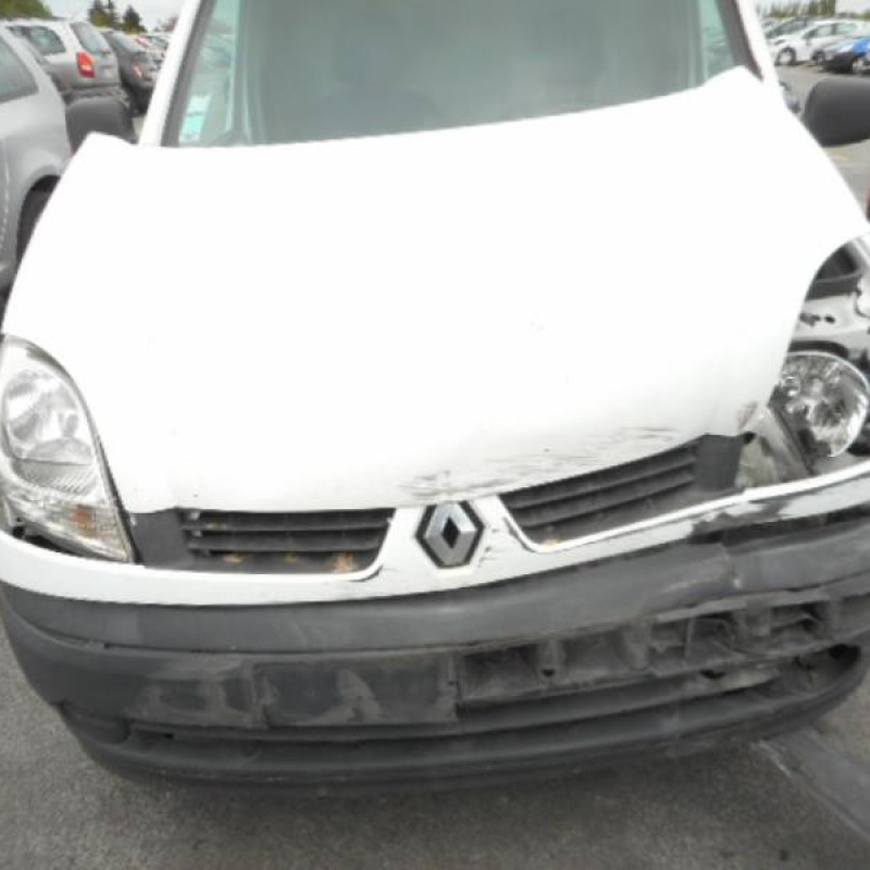 Porte de coffre gauche RENAULT KANGOO 1 Photo n°4