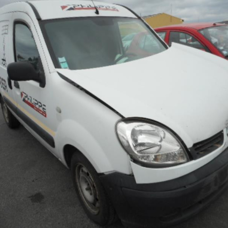 Porte de coffre gauche RENAULT KANGOO 1 Photo n°5