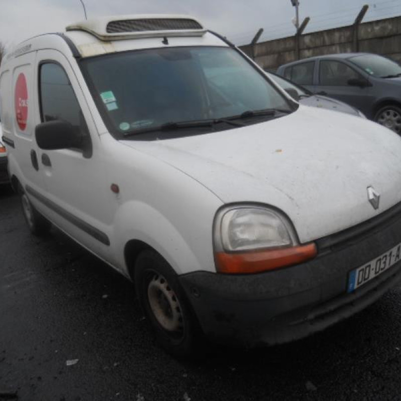 Porte de coffre gauche RENAULT KANGOO 1 Photo n°5