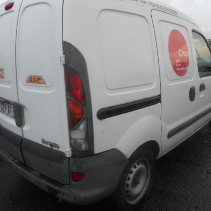 Porte de coffre gauche RENAULT KANGOO 1 Photo n°6