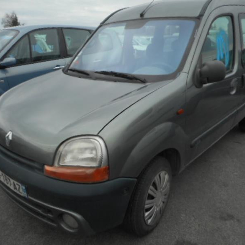 Porte laterale gauche RENAULT KANGOO 1 Photo n°3