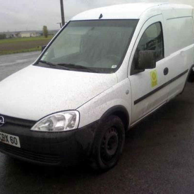 Porte de coffre gauche OPEL COMBO C Photo n°4