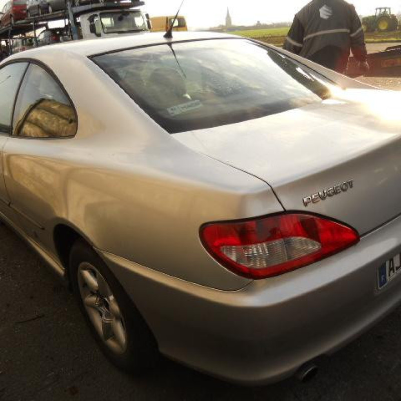 Custode arriere gauche PEUGEOT 406 Photo n°4