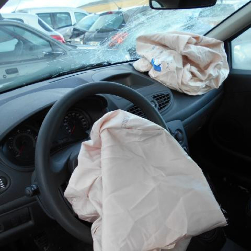 Poignee interieur avant droit RENAULT CLIO 3 Photo n°9