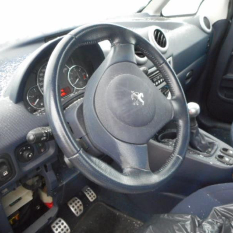 Poignee interieur avant droit PEUGEOT 1007 Photo n°9