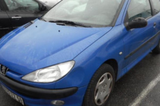 Mastervac PEUGEOT 206 Photo n°1