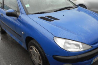 Mastervac PEUGEOT 206