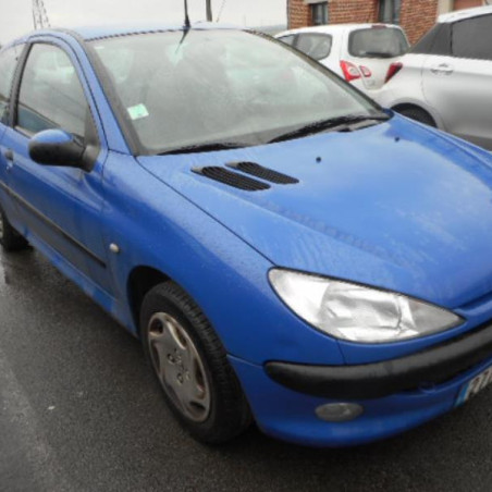 Mastervac PEUGEOT 206