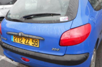 Mastervac PEUGEOT 206