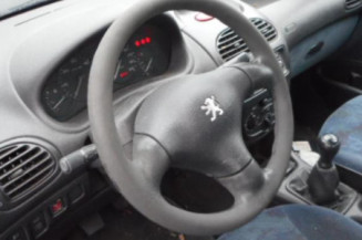 Mastervac PEUGEOT 206