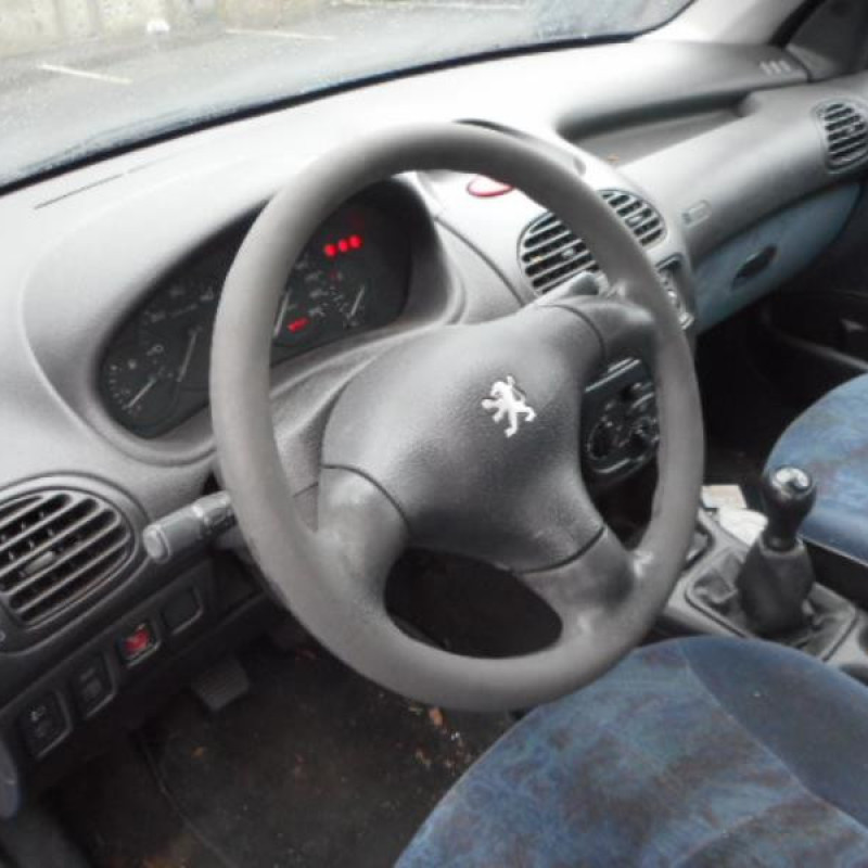 Mastervac PEUGEOT 206 Photo n°5