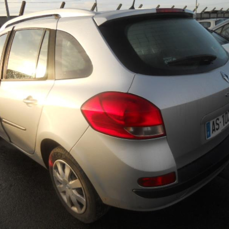 Custode arriere gauche RENAULT CLIO 3 Photo n°5