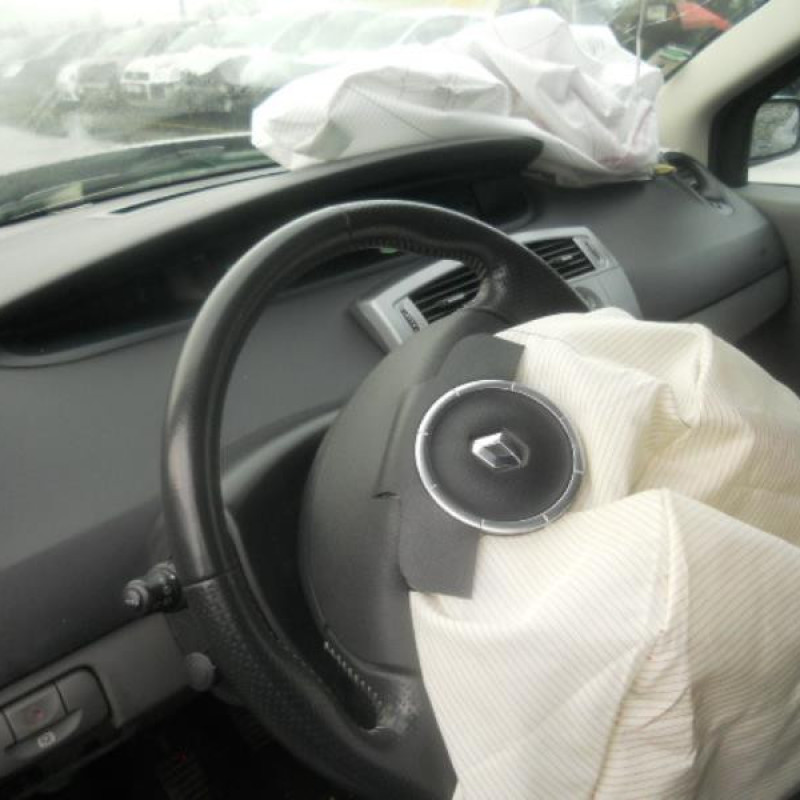 Poignee interieur arriere gauche RENAULT GRAND SCENIC 2 Photo n°9