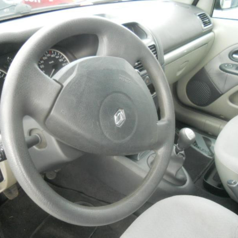 Poignee interieur arriere gauche RENAULT CLIO 2 Photo n°9