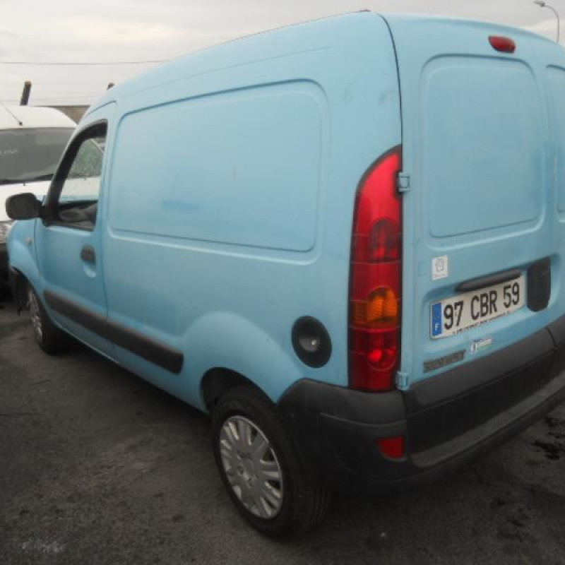 Porte de coffre gauche RENAULT KANGOO 1 Photo n°5