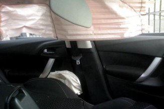 Poignee interieur arriere gauche CITROEN C3 2