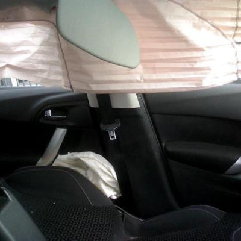 Poignee interieur arriere gauche CITROEN C3 2 Photo n°9