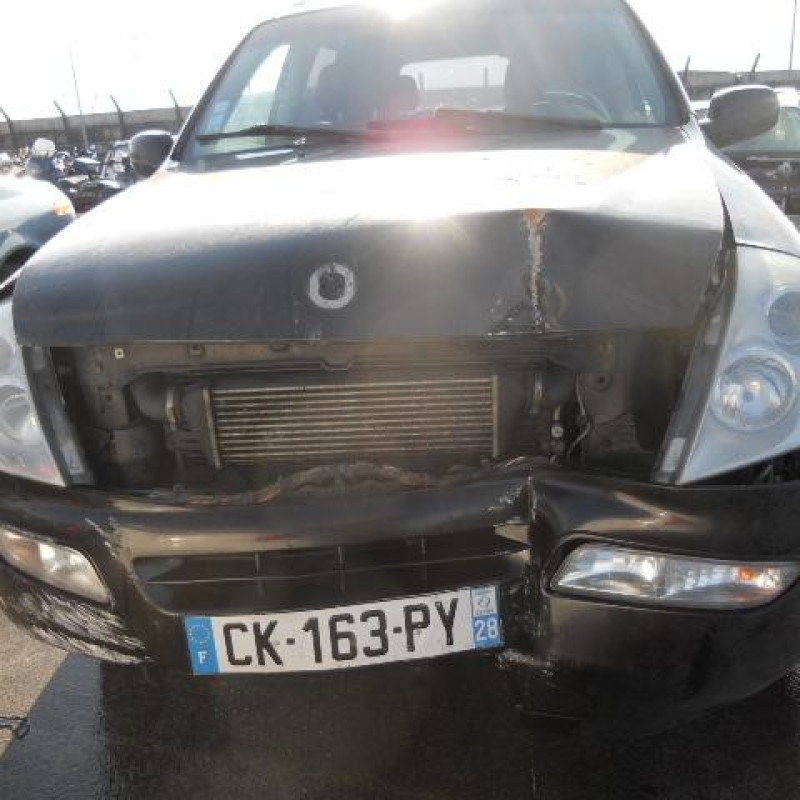 Porte arriere droit SSANGYONG REXTON 1 Photo n°6