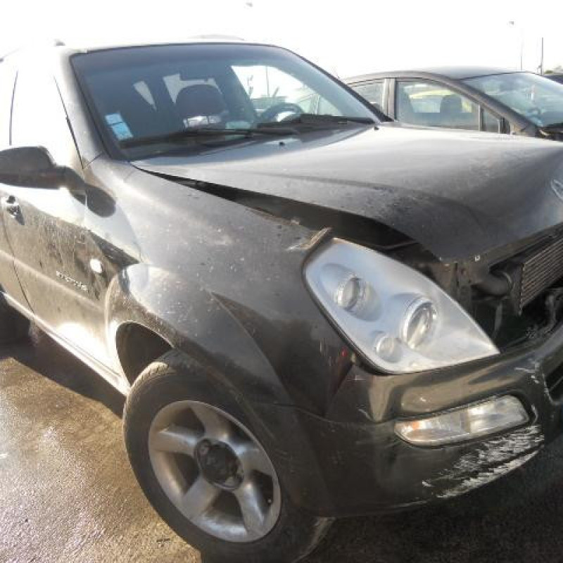 Porte arriere droit SSANGYONG REXTON 1 Photo n°7