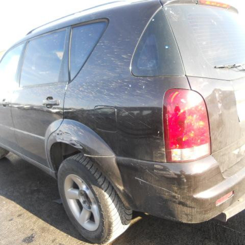 Porte arriere droit SSANGYONG REXTON 1 Photo n°9