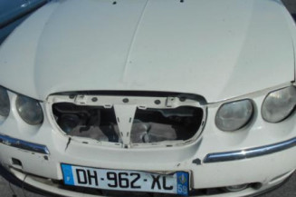 Porte arriere gauche ROVER 75