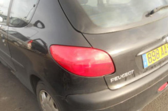 Custode arriere gauche PEUGEOT 206