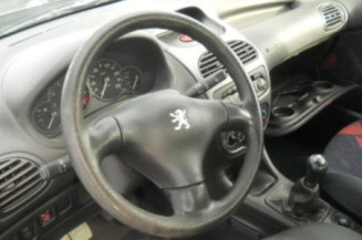 Custode arriere gauche PEUGEOT 206