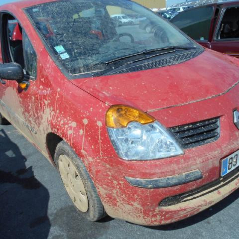 Custode avant gauche (porte) RENAULT MODUS Photo n°2