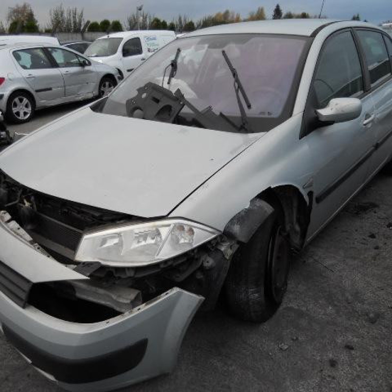 Custode arriere gauche (porte) RENAULT MEGANE 2 Photo n°1