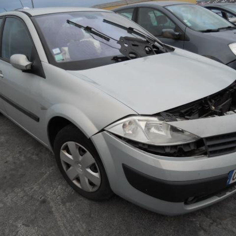 Custode arriere gauche (porte) RENAULT MEGANE 2 Photo n°3